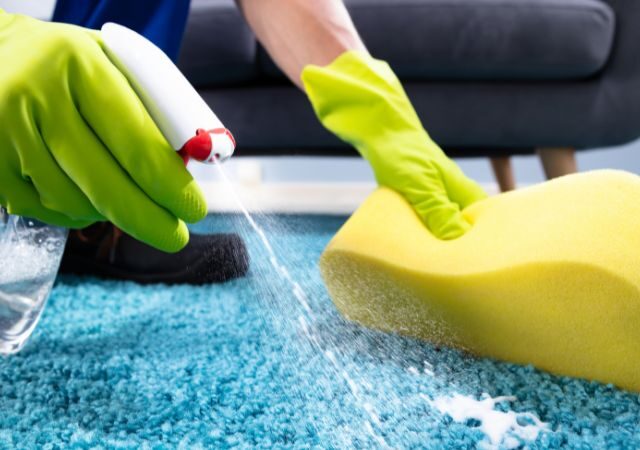 10 Best carpet cleaning products for stains